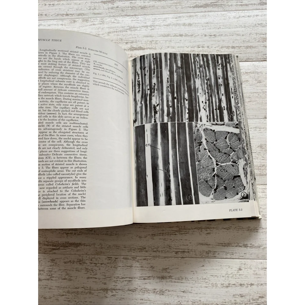 Vintage Histology Atlas 1970 Medical Textbook Hardcover Reith Ross 2nd Edition